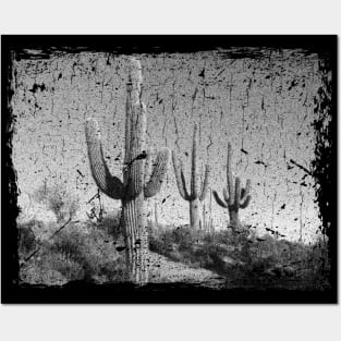 Cactus Posters and Art